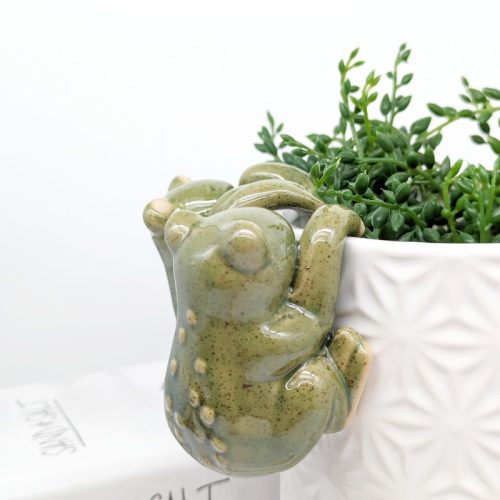 Green Frog Pot Sitter Hanger - Set of 2