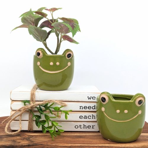 Smiling Frog Planter Pot - Set of 2