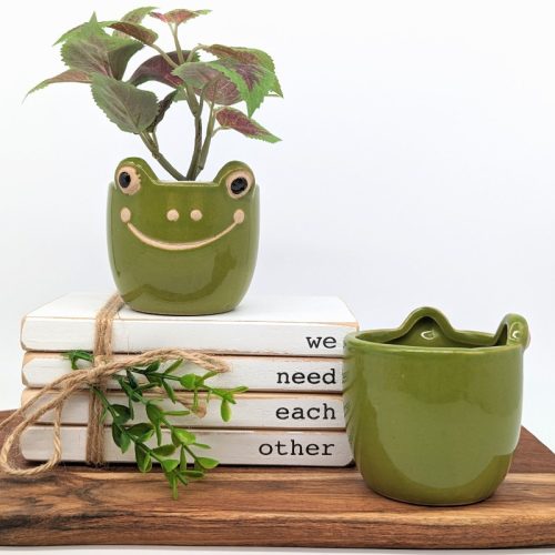 Smiling Frog Planter Pot - Set of 2