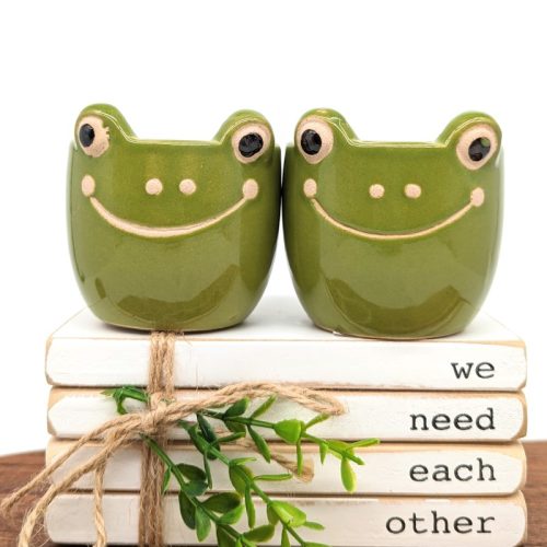 Smiling Frog Planter Pot - Set of 2