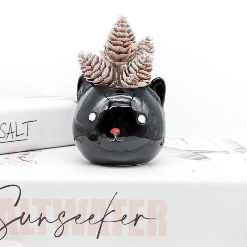 Tiny Black Cat Succulent Planter Pot