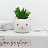 Tiny White Cat Succulent Planter Pot