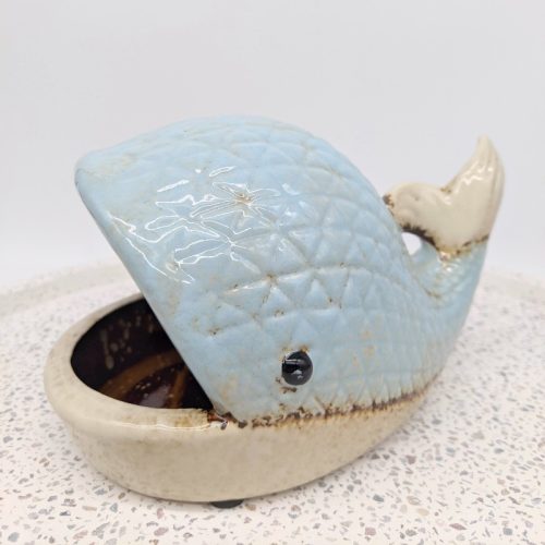 Whale Succulent Planter Pot