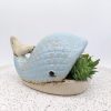 Whale Succulent Planter Pot