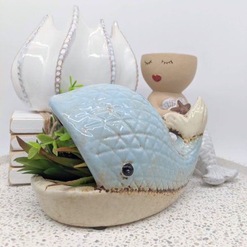 Whale Succulent Planter Pot