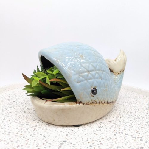 Whale Succulent Planter Pot