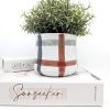 Check Lines Ceramic Planter Pot