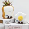 Egg Toast Ceramic Planter Pot