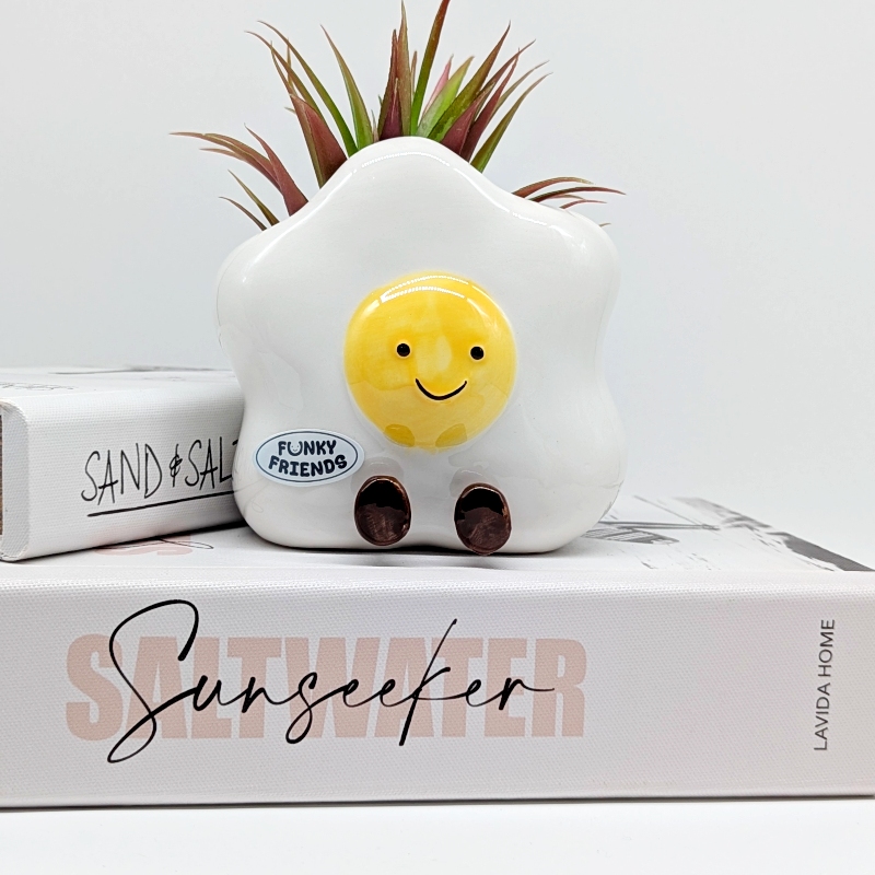 Egg Toast Ceramic Planter Pot_K