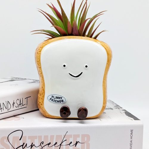 Egg Toast Ceramic Planter Pot