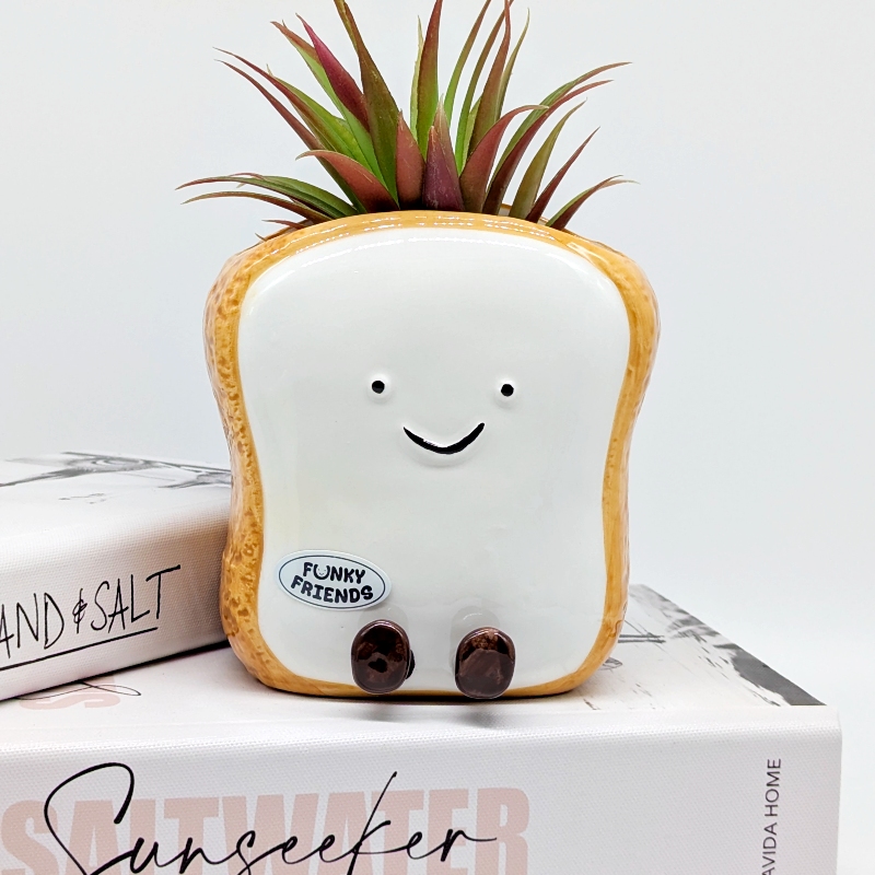 Egg Toast Ceramic Planter Pot_b Egg Toast Ceramic Planter Pot