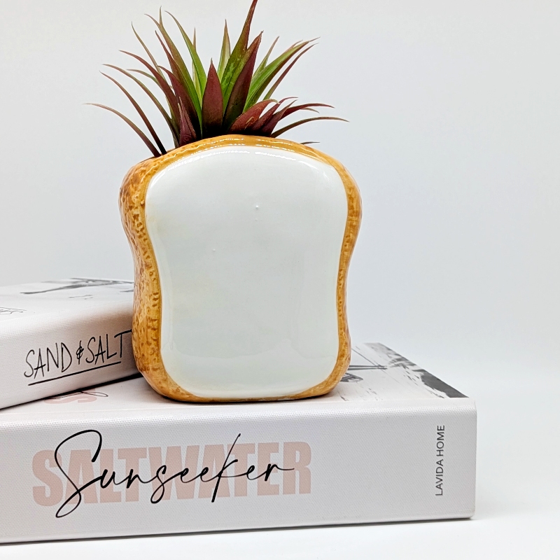 Egg Toast Ceramic Planter Pot_i