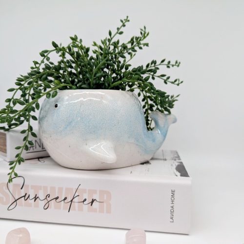 Aqua Whale Ceramic Planter Pot