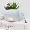 Aqua Whale Ceramic Planter Pot