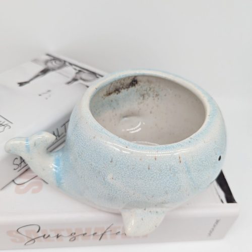 Aqua Whale Ceramic Planter Pot