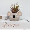 Aussie Koala Bear Planter Pot