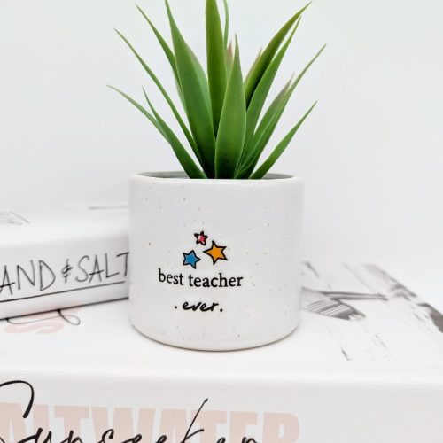 Best Teacher Ever Quote Planter Pot