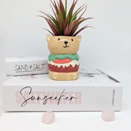 Hamburger Cat Planter Pot