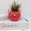 Red Strawberry Cat Planter Pot