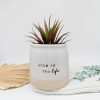 This is Life Quote Planter Pot