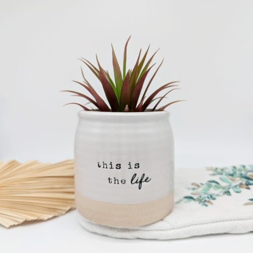 This is Life Quote Planter Pot