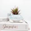 Coastal Blue Sea Turtle Planter Pot