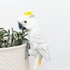 Cockatoo Bird Pot Sitter Hanger