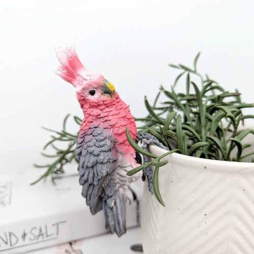 Pink Galah Bird Pot Hanger Sitter