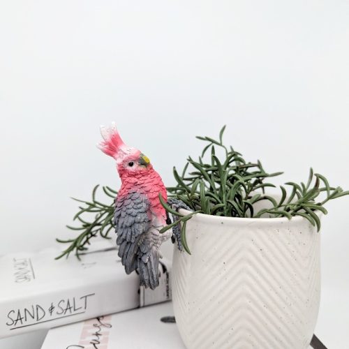 Pink Galah Bird Pot Hanger Sitter