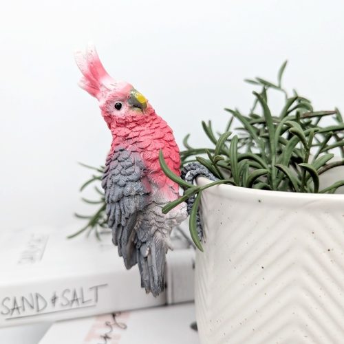 Pink Galah Bird Pot Hanger Sitter