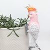 Pink Major Mitchell Cockatoo Bird Pot Sitter