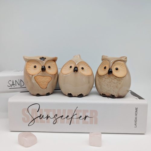 Ceramic Owl Figurine - Set of 3