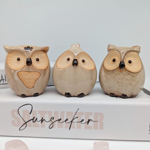 Ceramic Owl Figurine - Set of 3