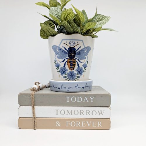 Bee Planter Pot with Love You Mum Saucer