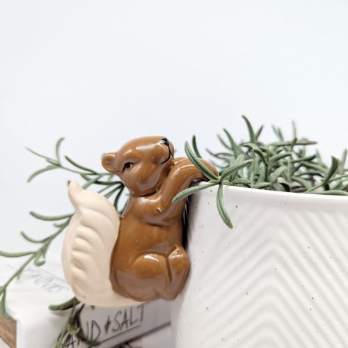 Brown Squirrel Pot Hanger Sitter