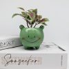 Cheeky Green Frog Planter Pot