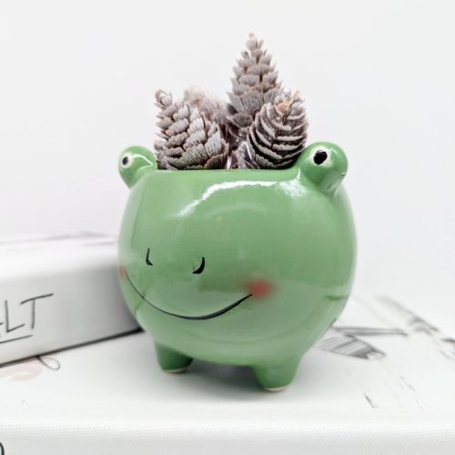 Cheeky Green Frog Planter Pot