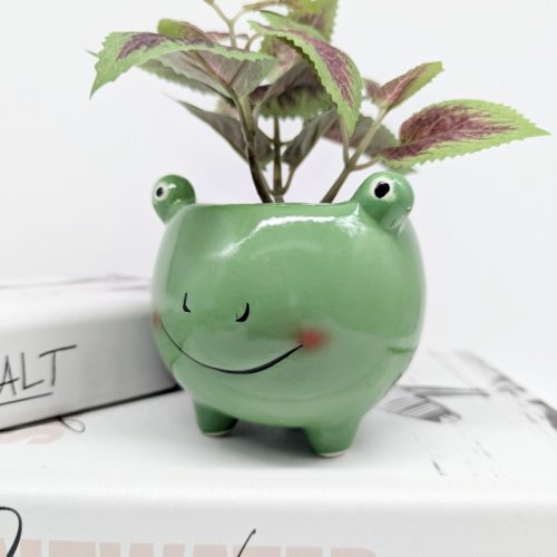 Cheeky Green Frog Planter Pot