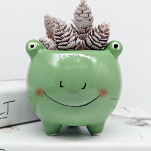 Cheeky Green Frog Planter Pot