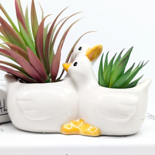 Hugging Duck Planter Pot