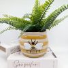 Queen Honey Bee Planter Pot