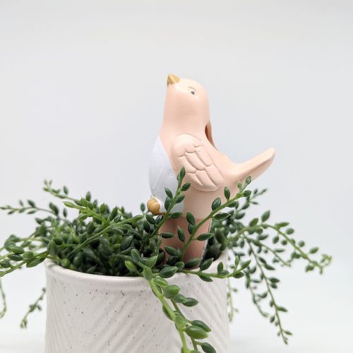 Bird Plant Watering Stake Spike