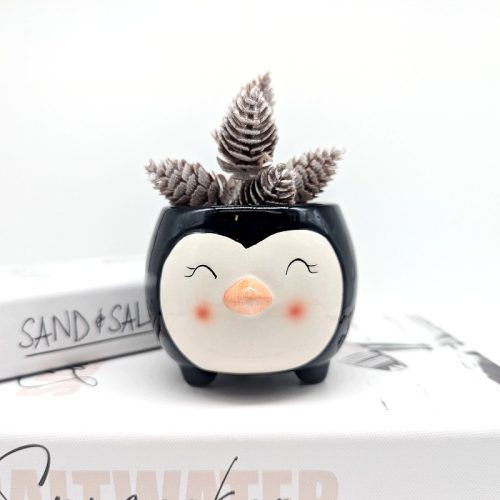 Black Penguin Succulent Planter Pot