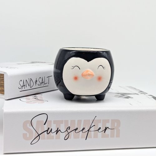 Black Penguin Succulent Planter Pot