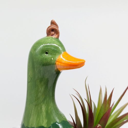 Green Watermelon Duck Planter Pot