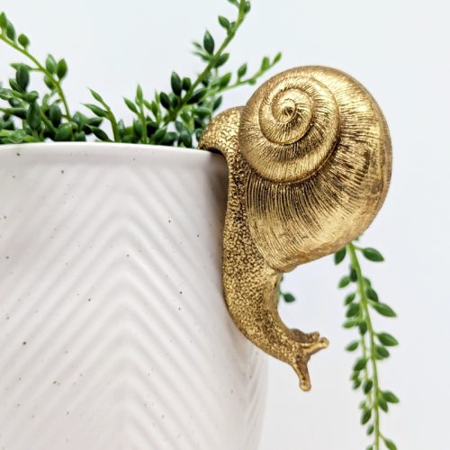 Golden Snail Pot Hanger Sitter