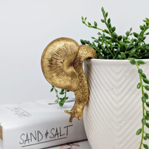 Golden Snail Pot Hanger Sitter