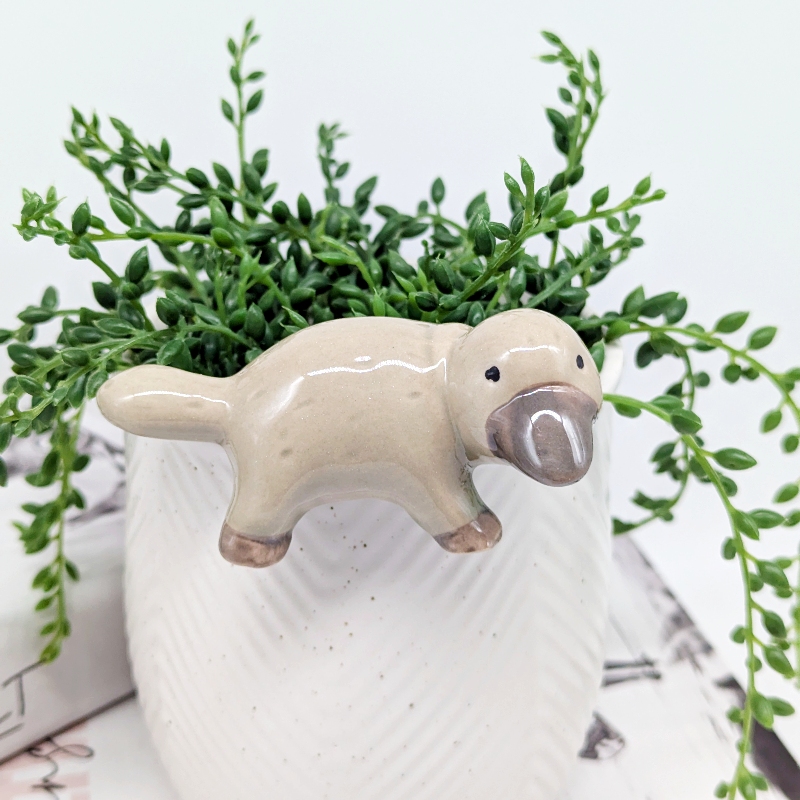 Platypus Pot Hanger Sitter