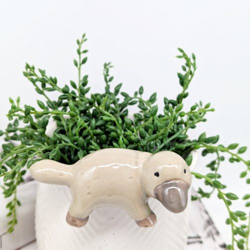 Platypus Pot Hanger Sitter