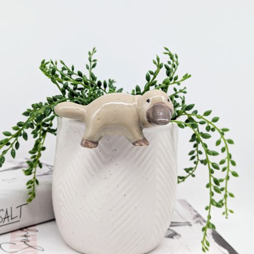 Platypus Pot Hanger Sitter